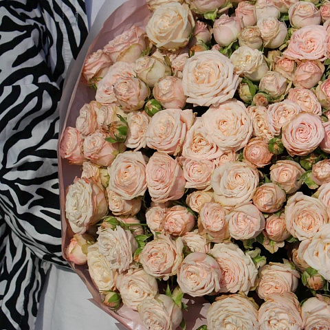 кустовые розы: Букет из 35 кремовых пионовидных роз Бомбастик