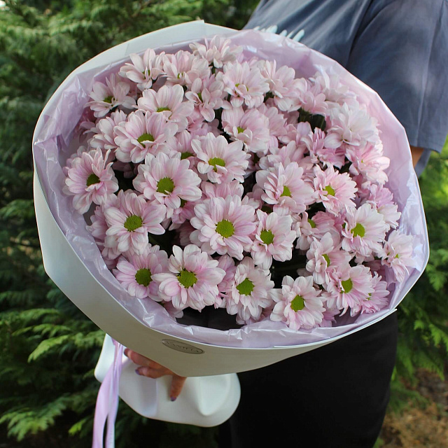 Букеты из хризантем: Нежно-розовая хризантема в оформлении