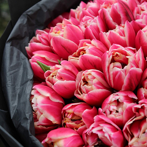 Новинки букетов 2026: Букет из 101 тюльпана Коламбус