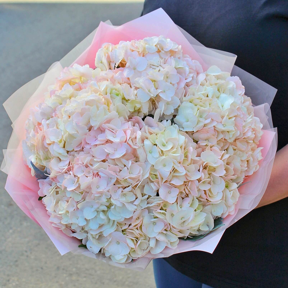 Букет из розовых гортензий 'Нежность'