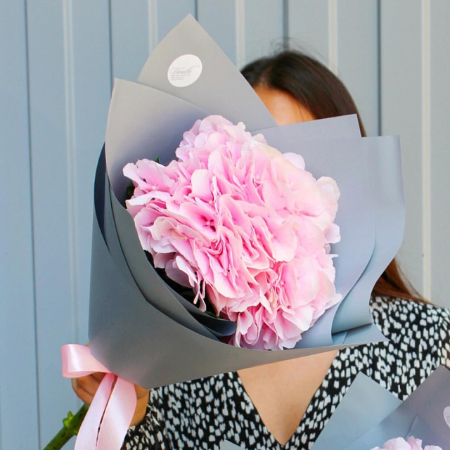 Розовая гортензия - изображение 2