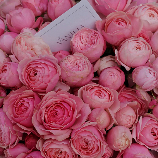 Букет из пионовидной розы Silva Pink