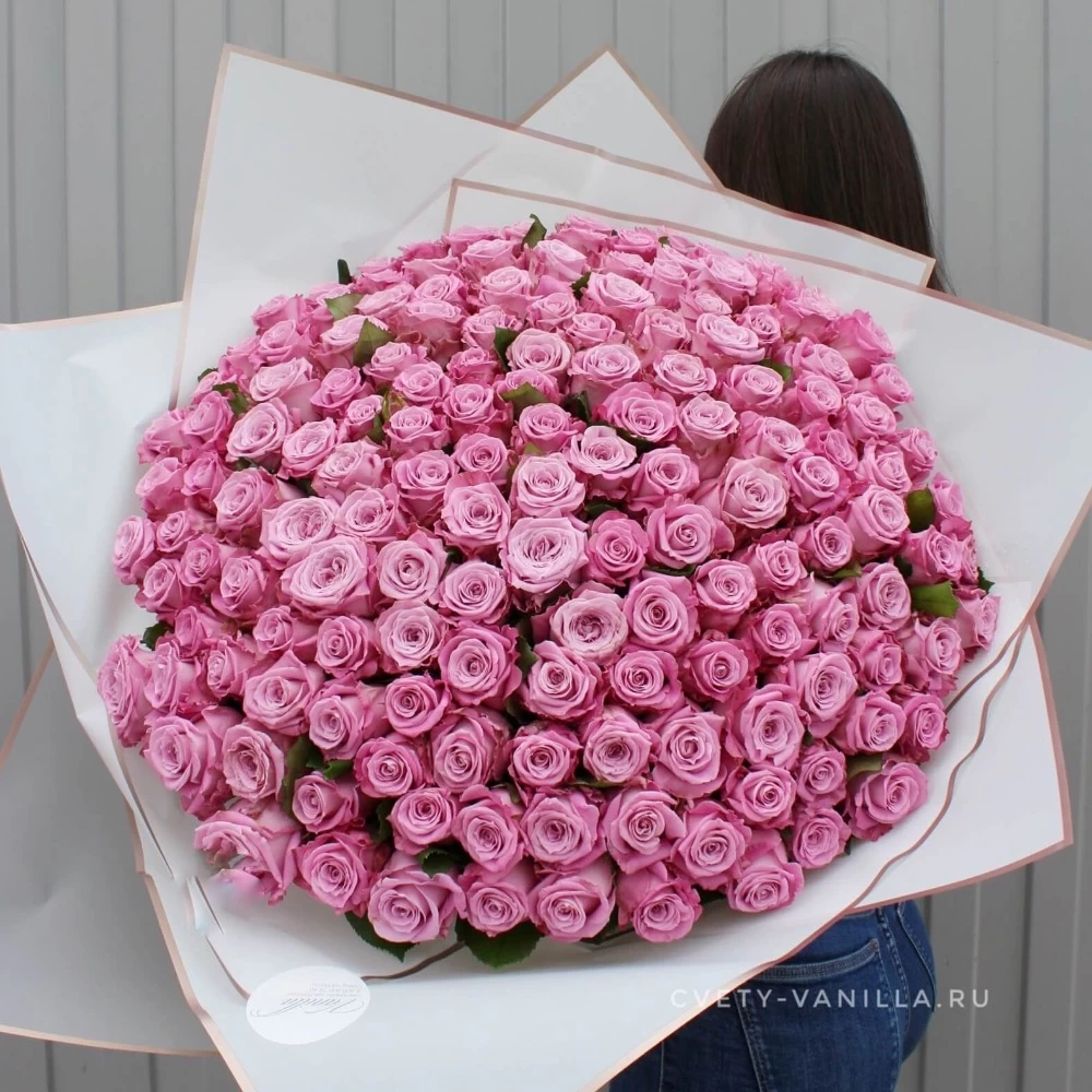 Купить Букет из 151 розы Маритим 60 см в Краснодаре
