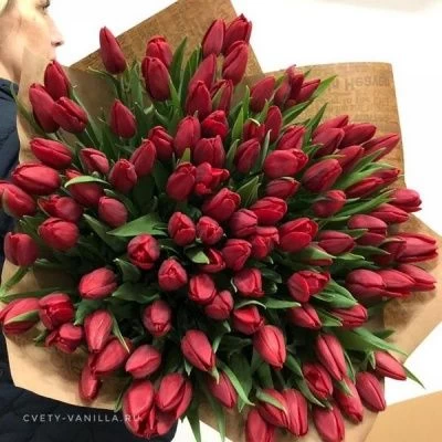 101 красный тюльпан в упаковке