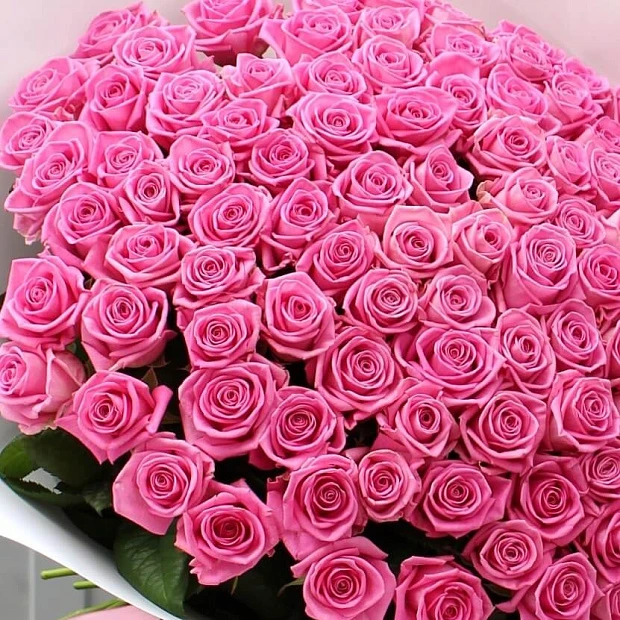 Букет из 101 розовой розы 