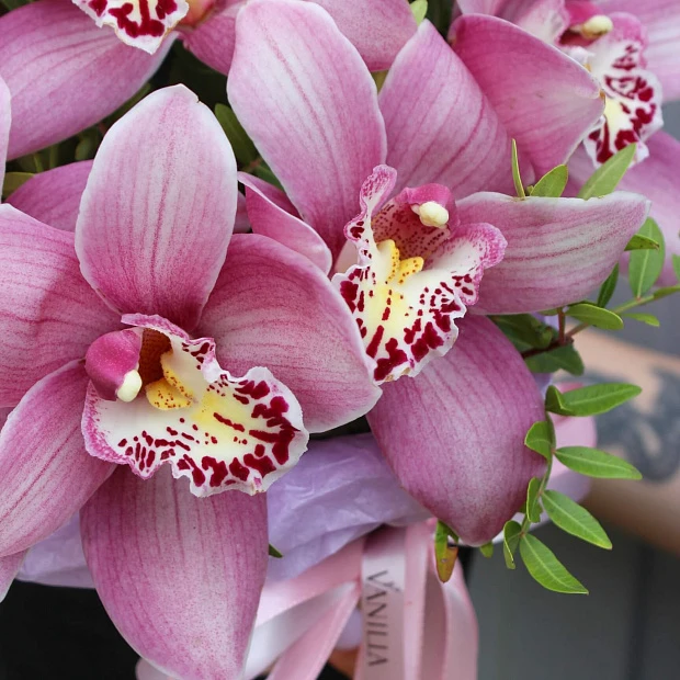 цветы в шляпной коробке "орхидея"