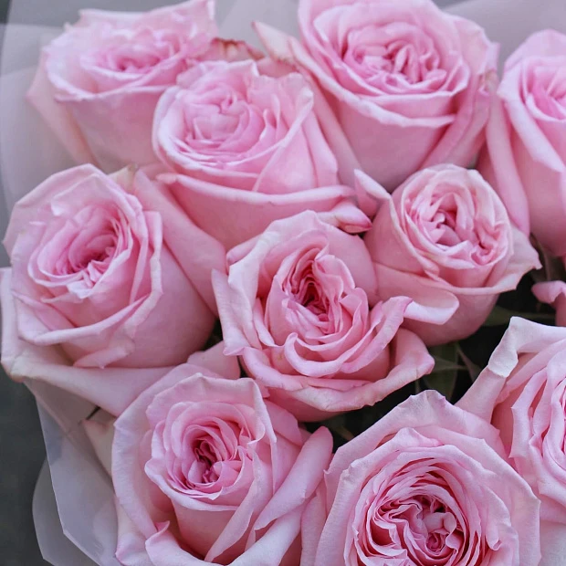11 роз Pink O'Hara