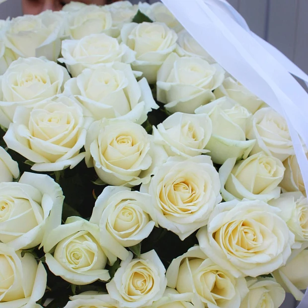Корзина из 101 белой розы "Аваланж"