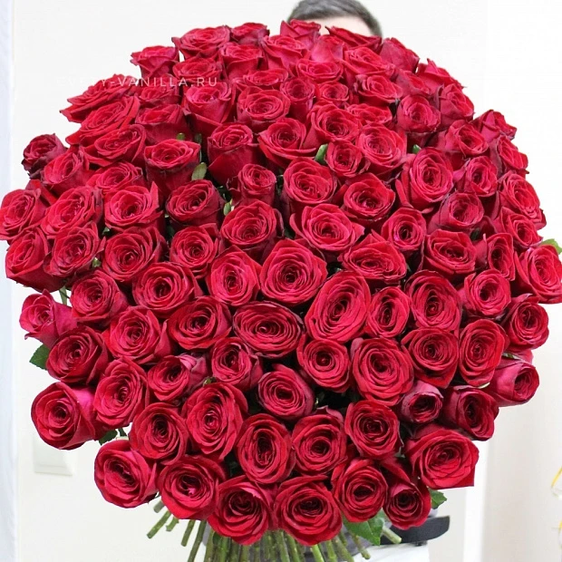 Букет из 101 розы Red Naomi 70 см