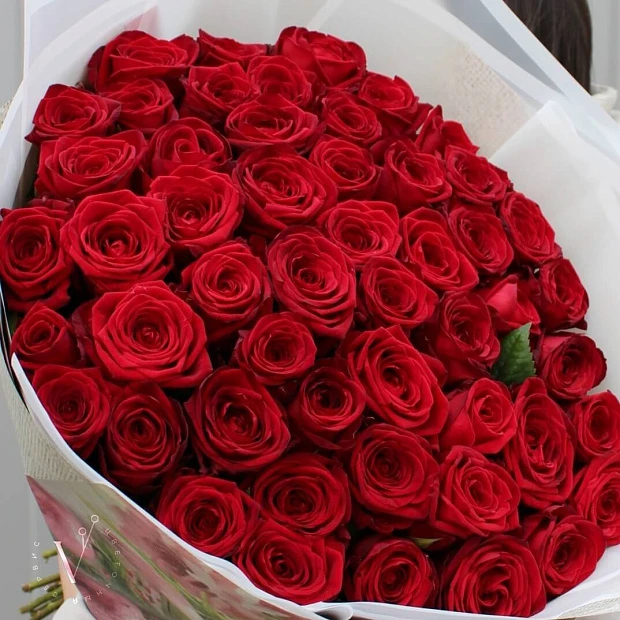 51 ароматная красная роза 
