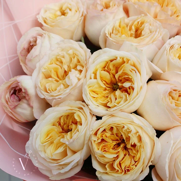 Букет из 15 пионовидных роз "Лондон"