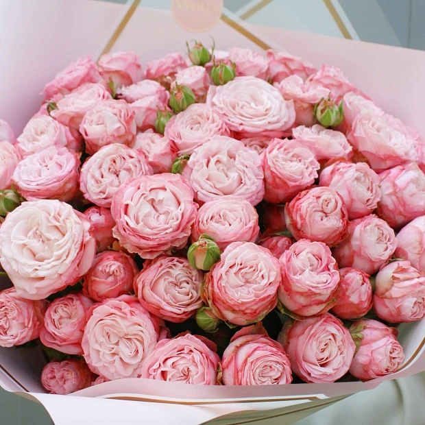 25 пионовидных кустовых роз