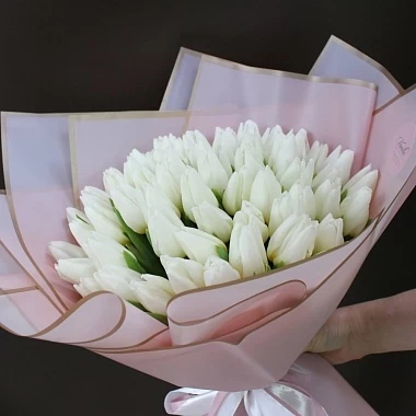 Букет из 65 белых тюльпанов