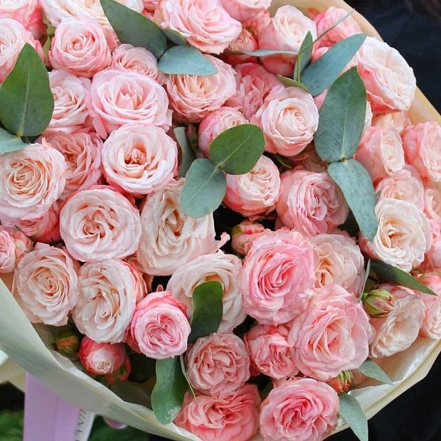 Букет из 15 кремовых кустовых роз с эвкалиптом