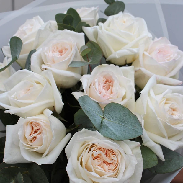 11 парфюмированных роз White O'Hara