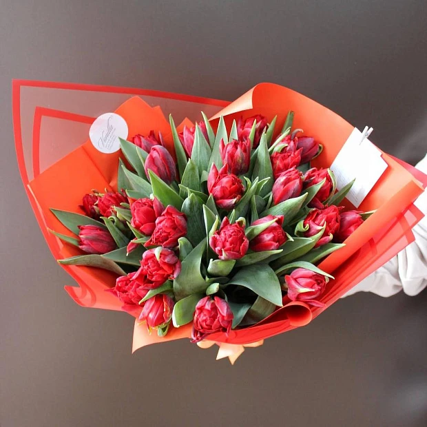 Букет из 25 красных пионовидных тюльпанов