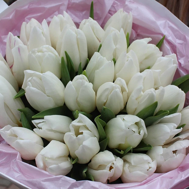 Букет из 31 белого тюльпана в нежном оформлении