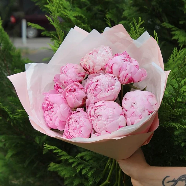 Букет из 9 розовых пионов Сара Бернар