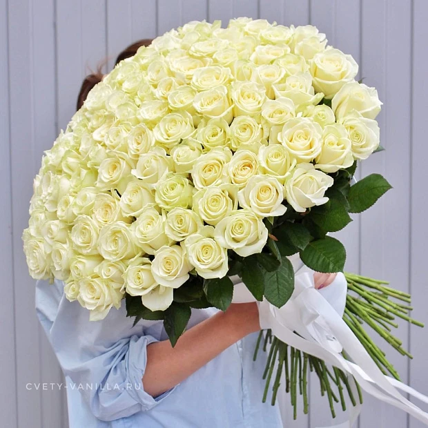 Букет из 101 белой розы Аваланж 70 см 
