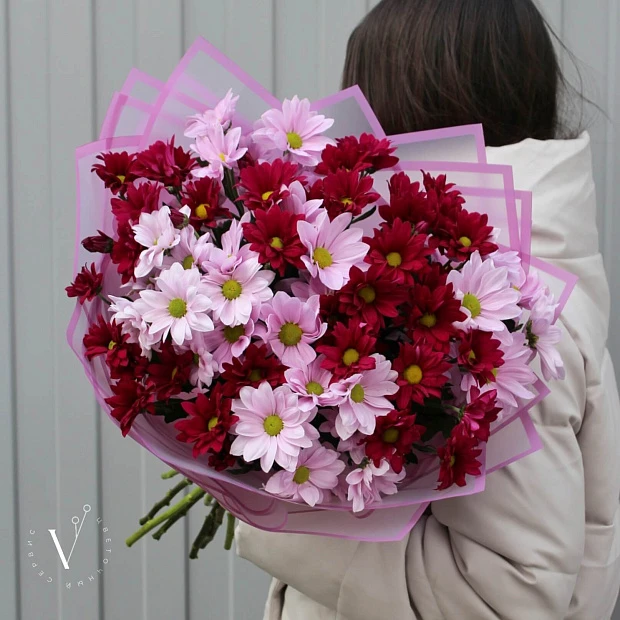 Розовый микс хризантем разноцветный