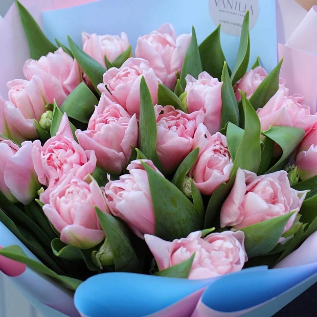 19 розовых тюльпанов