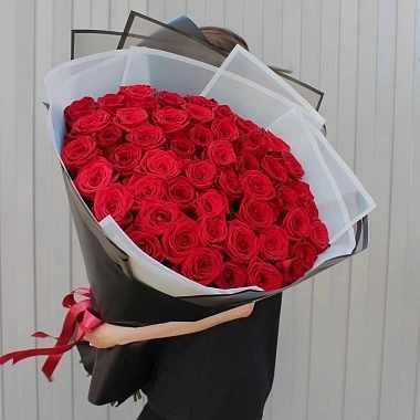 51 красная ароматная роза 60 см