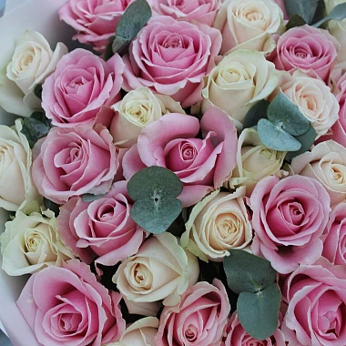 51 белая и розовая роза Россия 70 см