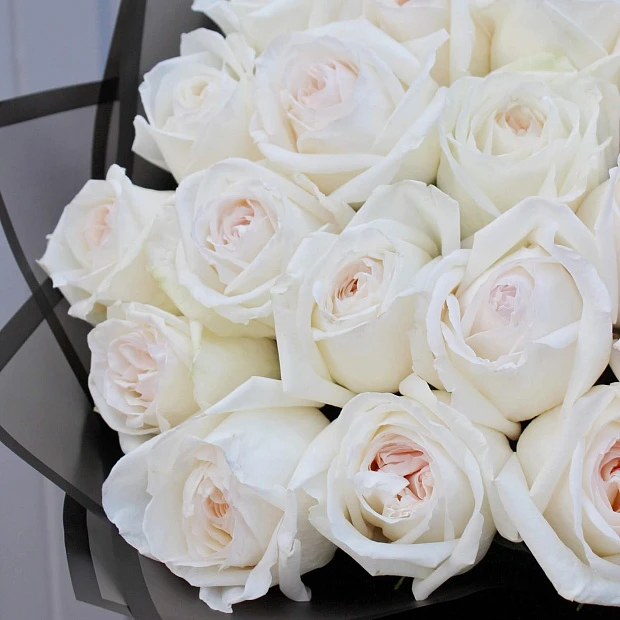 Букет из 21 ароматной розы Вайт Охара