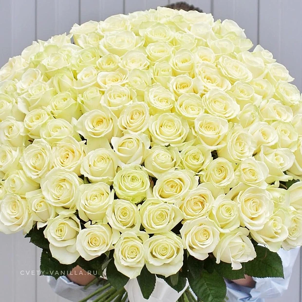 Букет из 101 белой розы Аваланж 70 см 