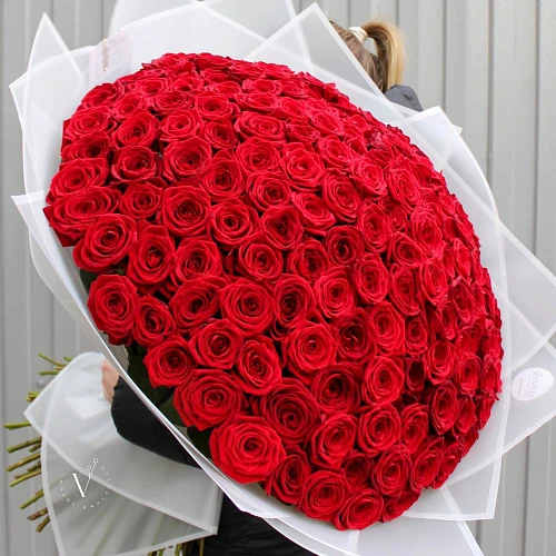 151 красная роза (70 см)