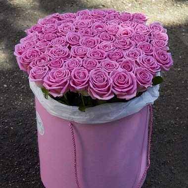 61 роза "aqua" в розовой коробке