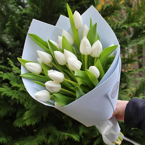 Букет из 19 белых тюльпанов в нежном оформлении