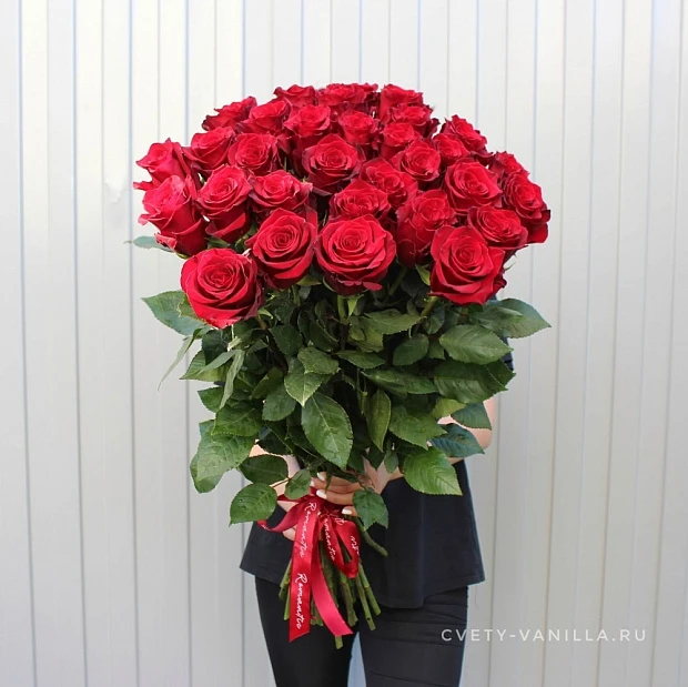 31 голландская красная роза 70 см