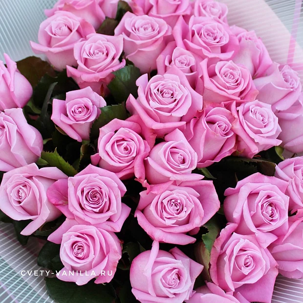 Букет из 31 розовой российской розы