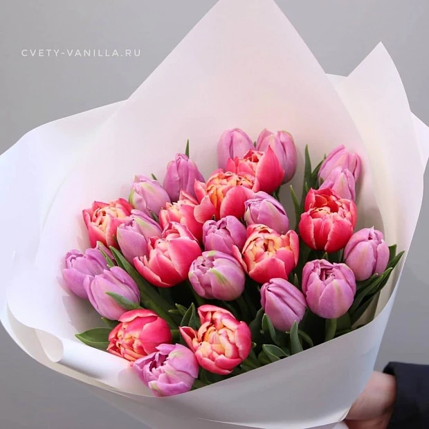 25 разноцветных пионовидных тюльпанов