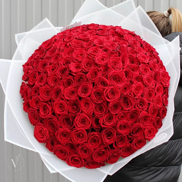 151 красная роза (70 см)
