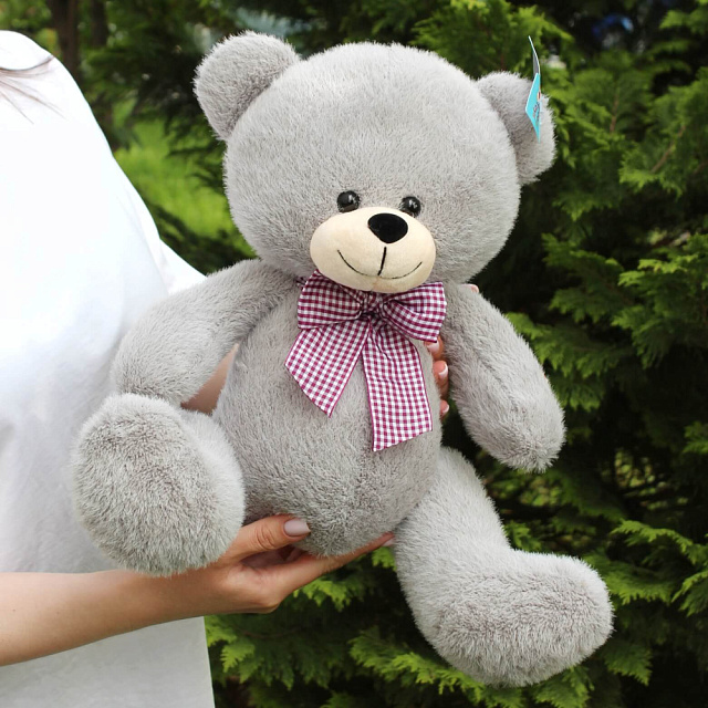 На фото Мягкий мишка Мягкий мишка