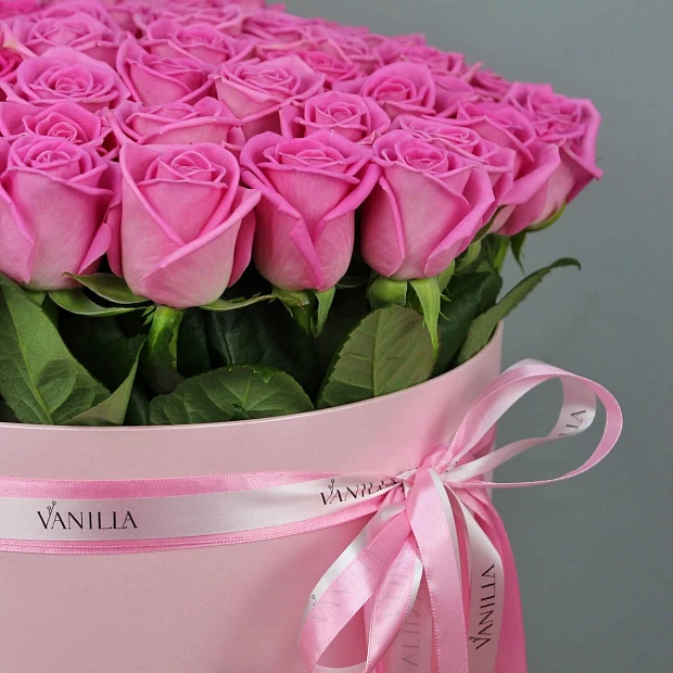 61 роза "Aqua" в розовой коробке