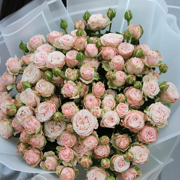 19 веток кустовой пионовидной розы