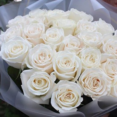 25 импортных белых роз